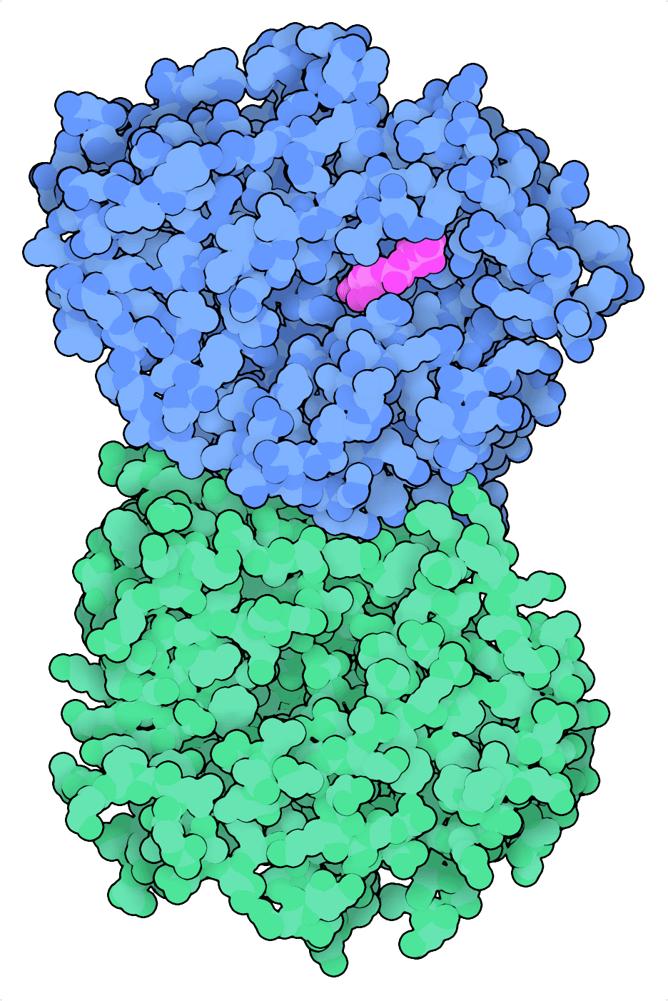 Protein structure 5YH2, representing MedAI Hackathon