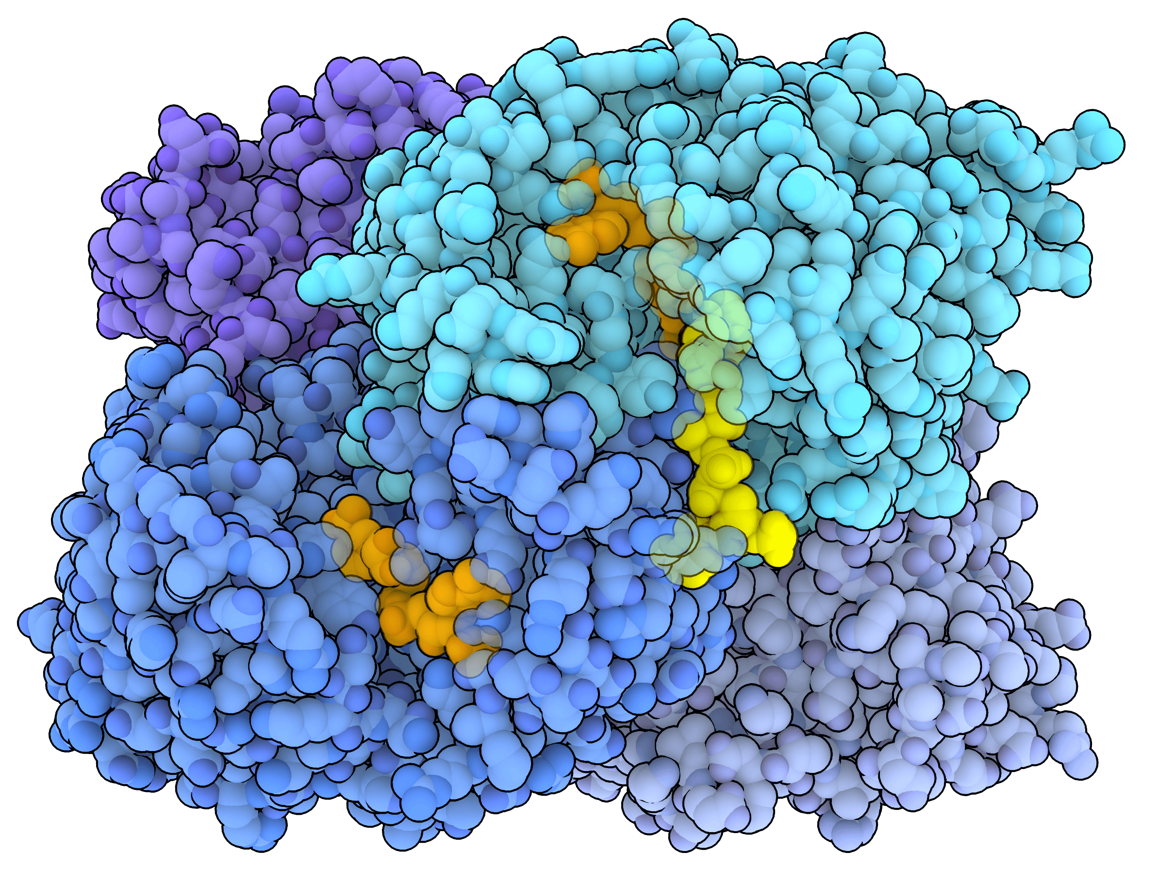 Protein structure 6OWE, representing DailyViral