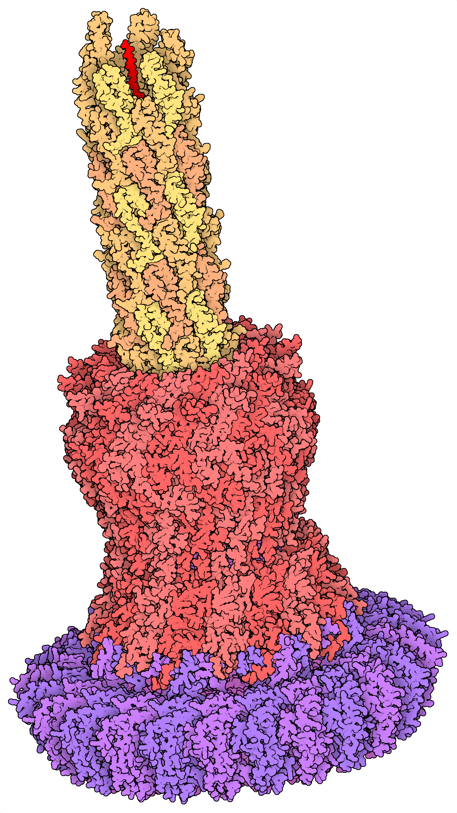 Protein structure 7AH9, representing CaroTouch Website